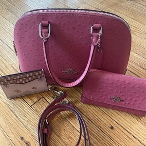 Coach Handbag & Wallet